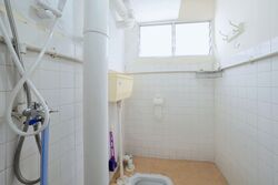 Clementi Avenue 5 (D5), Shop House #432348261
